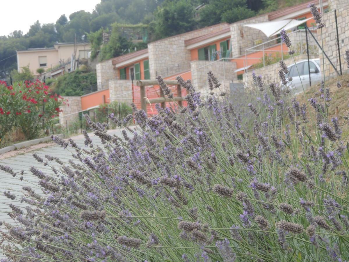 Appartamento Agriturismo Un Mare Di Fiori Ventimiglia Exterior foto